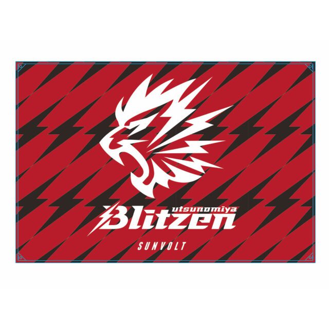 チームフラッグ ▻ オリジナルサイクルウェアのサンボルト